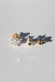 Lab-grown Star Cluster Studs